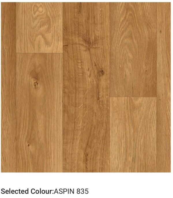 HERCULES PLUS WOODS - Image 3