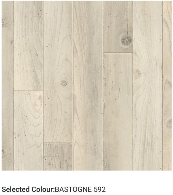 ENTERPRISE PLUS WOODS MOODS - Image 9